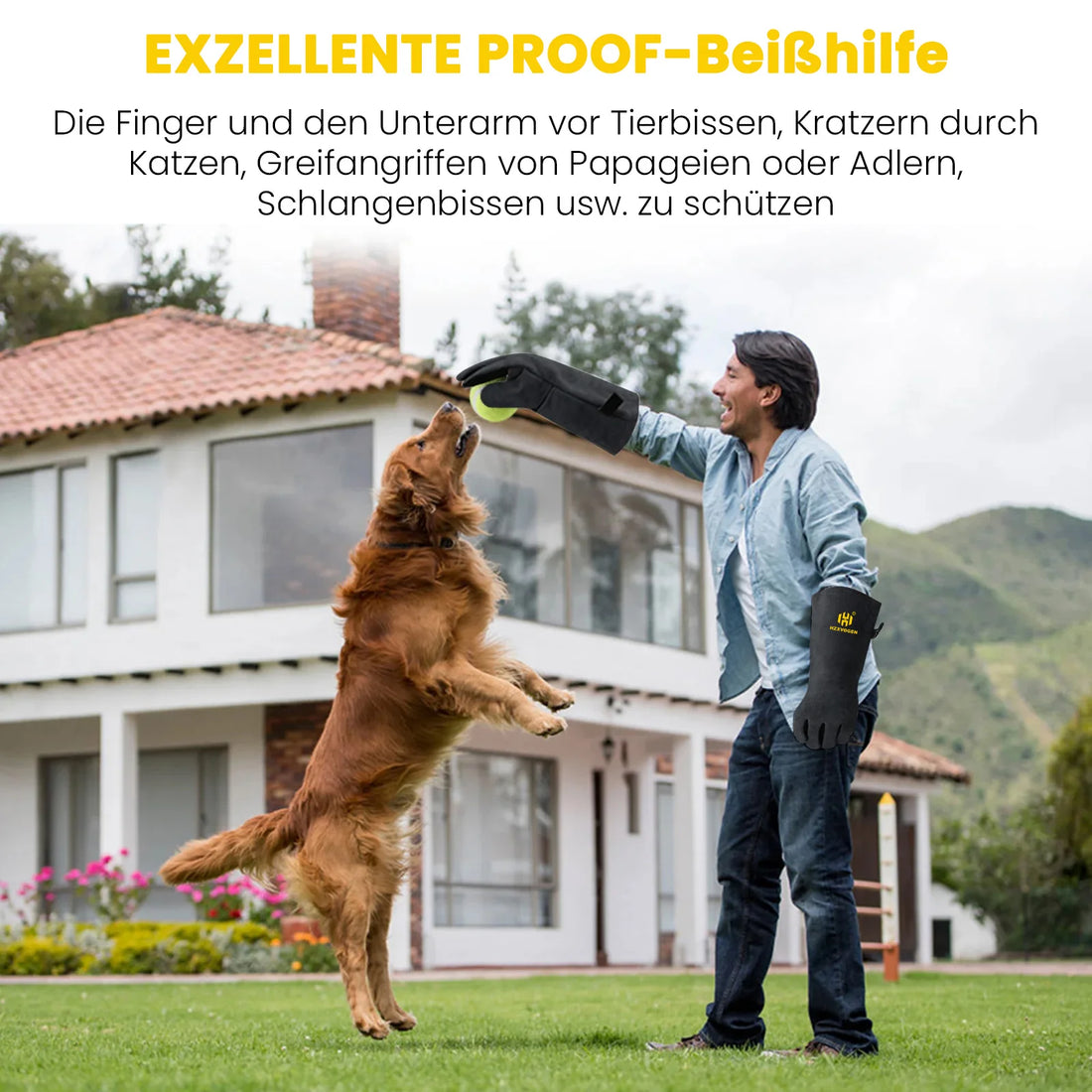 Mann mit langen Lederhandschuhen spielt im Garten mit einem hochspringenden Hund